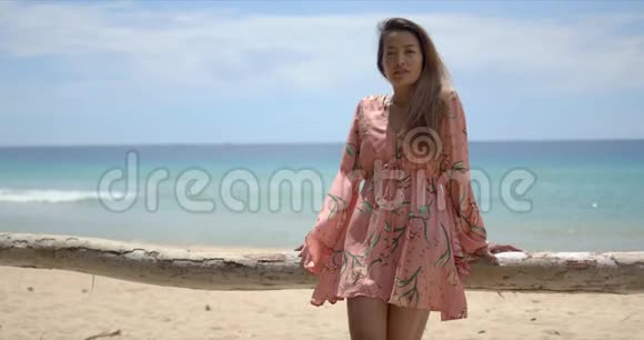 时髦的少数民族妇女靠在海滩上的篱笆视频的预览图