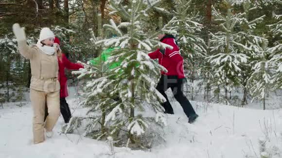 冬林杉树上欢乐的家庭舞蹈视频的预览图