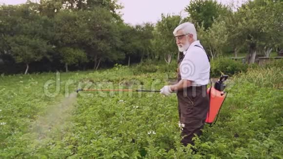 科罗拉多马铃薯甲虫化学药剂喷洒的老人视频的预览图