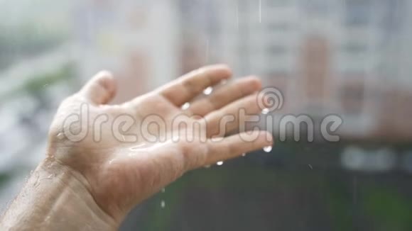 雨滴落在手中的雄性视频的预览图