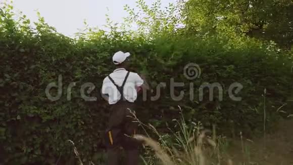 非裔美国人加格纳切割灌木视频的预览图