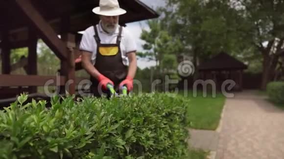 戴防护手套修剪灌木丛的高级男园丁视频的预览图