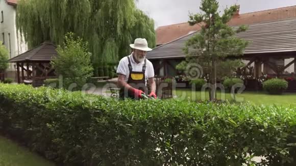 专业的男性园丁修剪杂草丛生的灌木视频的预览图