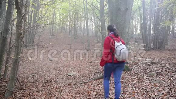在春天带着背包在森林里散步的女人慢镜头视频的预览图