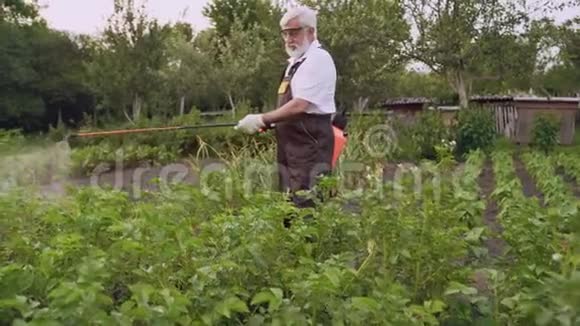成熟的园丁用化学物质保护马铃薯丛视频的预览图