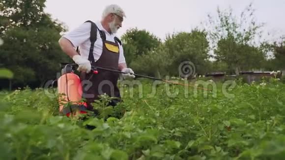 成熟的男花匠从昆虫身上洒满马铃薯丛视频的预览图