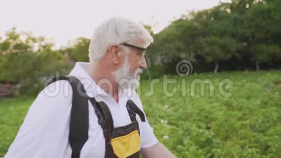 科罗拉多甲虫的成熟男人农药马铃薯丛视频的预览图
