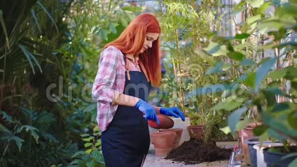 在一个漂亮的温室里红发花匠的女人非常小心地在锅里种了一种新植物她加了一些鞋底视频的预览图