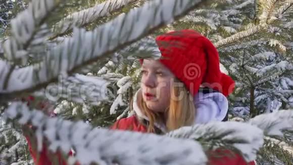 可爱的快乐女孩在冬天的森林里拿着糖果视频的预览图