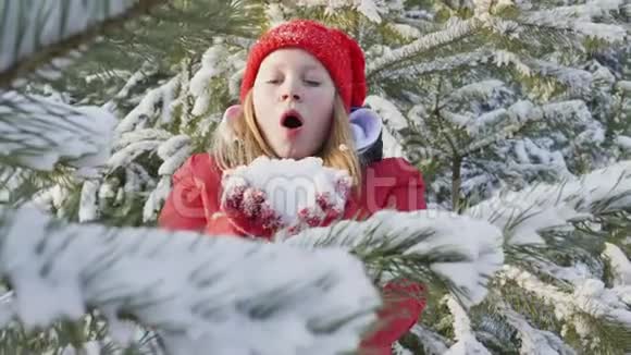 可爱的快乐女孩在冬天的森林里吹雪视频的预览图