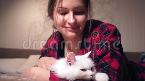 小女孩正在抚摸一只躺在沙发上的毛茸茸的猫选择性聚焦宠物动物视频的预览图