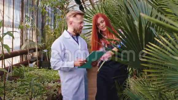 漂亮的农业科学家和红头发的园丁女士他们分析了装饰植物的状况视频的预览图
