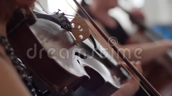 配备小提琴的木制小提琴音乐家在管弦乐队演奏视频的预览图
