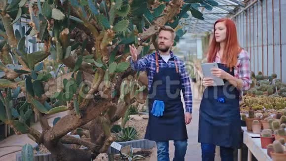 两个魅力四射的园丁一个红头发一个留着胡子的帅哥在一个农场里走来走去视频的预览图
