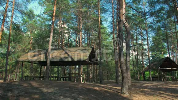 森林里的一个露台视频的预览图