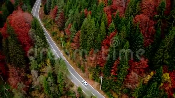 沿着森林高速公路行驶视频的预览图