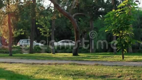 在阳光明媚的日子里一个猎犬女人在公园里溜冰视频的预览图