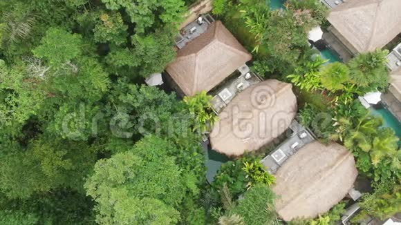 4K天线飞越美丽的豪华酒店在热带丛林和棕榈树中有稻草屋顶别墅和游泳池视频的预览图