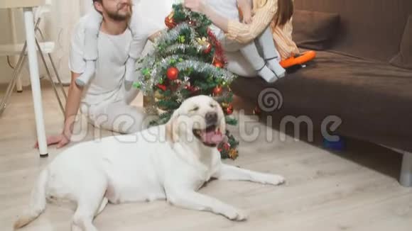 圣诞树背景下的狗和幸福家庭肖像视频的预览图