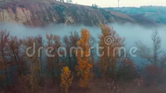 秋雾下的风景视频的预览图