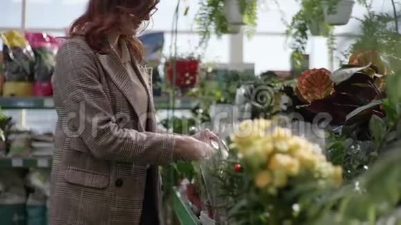 女购物者园丁在花店背景的绿色货架上选择装饰的盛开的花视频的预览图