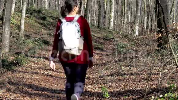 春天背着背包在森林里散步的女人视频的预览图