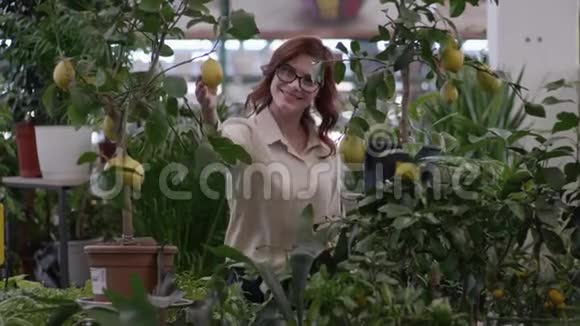 种植花卉女农民戴眼镜视力检查状态装饰植物与水果同时工作在视频的预览图