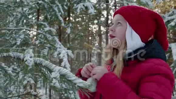 年轻女子把银球挂在雪林的新年树枝上快乐少女装饰圣诞树视频的预览图