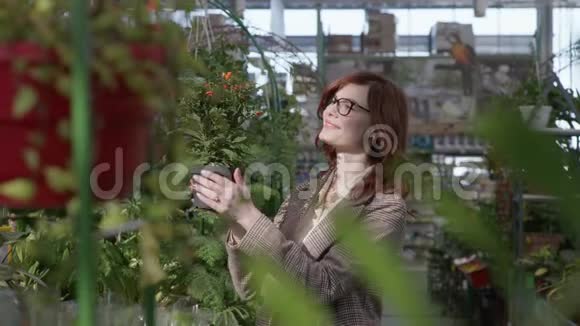 漂亮的女员工花店女店员在花店货架上的花盆里检查家居装饰植物的状况视频的预览图