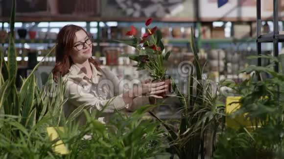 微笑的女人眼镜的买家选择装饰植物创造舒适的公寓花店视频的预览图