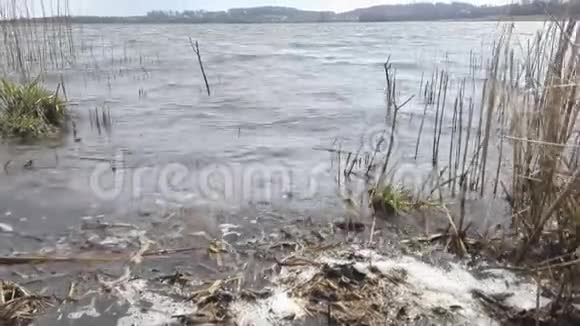 肮脏的湖岸视频的预览图