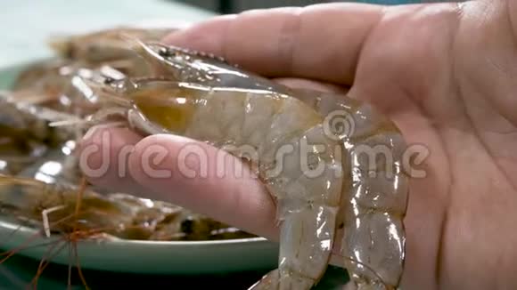 白色鲜生虾在手视频的预览图