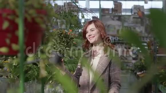 美丽的年轻女孩购物者在一个有绿色植物的书架的盆栽背景下审视装饰性的自制花视频的预览图
