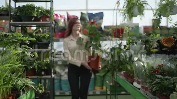 园艺一位迷人的微笑女花店的肖像手里拿着美丽的观赏花视频的预览图