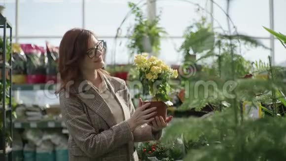 女性花艺师的肖像带眼镜用于视觉为家庭或办公室设计选择花盆中的装饰性开花植物视频的预览图