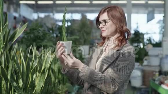 有魅力的年轻女子在盆栽中选择漂亮的绿色花朵来装饰家庭或办公室而站在温室里视频的预览图