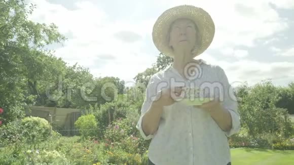 在花园里喝茶的白种人高级妇女视频的预览图