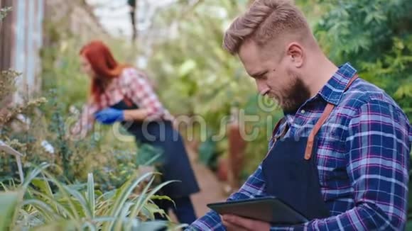一个留着胡子的英俊的园丁和他的同事一起在他们检查的农业温室里工作视频的预览图