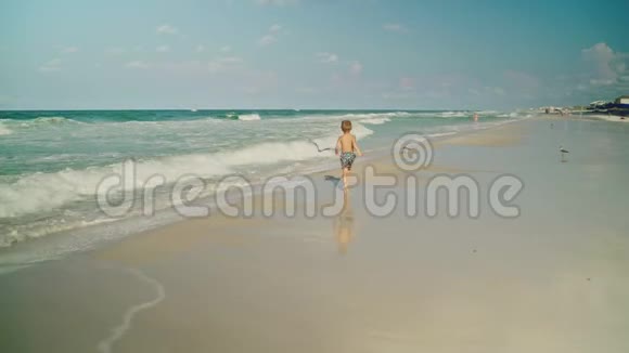 小男孩正在沙滩上玩海鸥男孩和海鸥巴拿马城海滩视频的预览图
