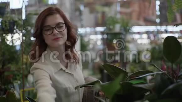 可爱的微笑女性顾客在视觉眼镜中选择花盆中的装饰家居植物来装饰视频的预览图