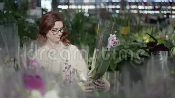 年轻有魅力的女性花农带着眼镜选择装饰性的花房植物放在花盆里视频的预览图