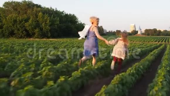 母亲和女儿在日落时跑过田野牵着手后景慢动作视频的预览图