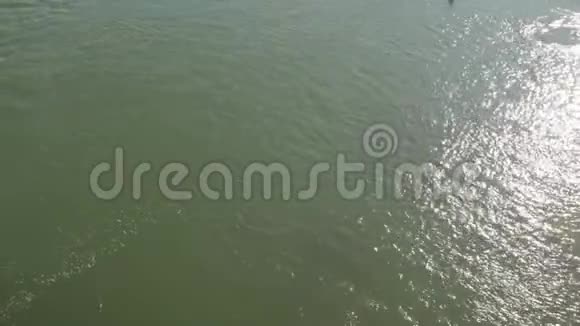 河上的游乐船视频的预览图