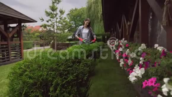快乐的园丁在户外用剪枝剪树丛视频的预览图