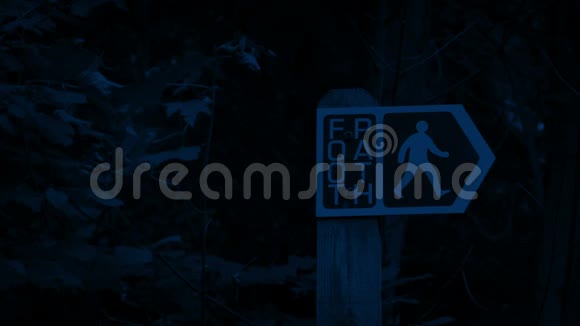 夜间森林的足迹标志视频的预览图
