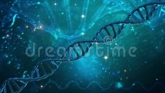 三维空间DNA螺旋转化动画视频的预览图