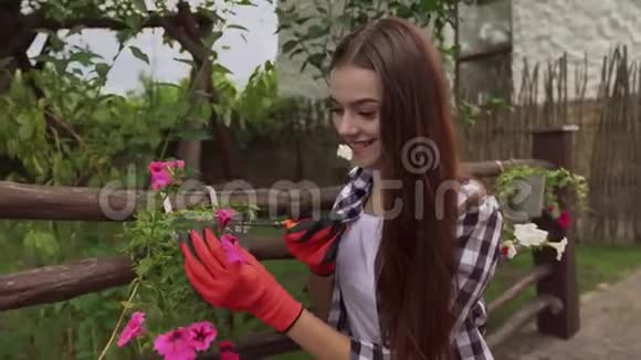 戴防护手套的女孩从花盆里剪干叶子视频的预览图
