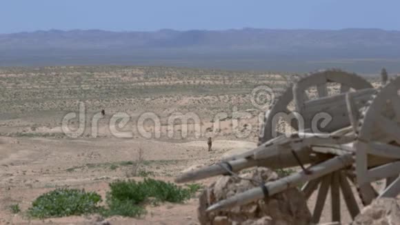 骆驼在沙漠的道路上行走一辆旧的真正的战车一辆手推车空气中的热量振动视频的预览图