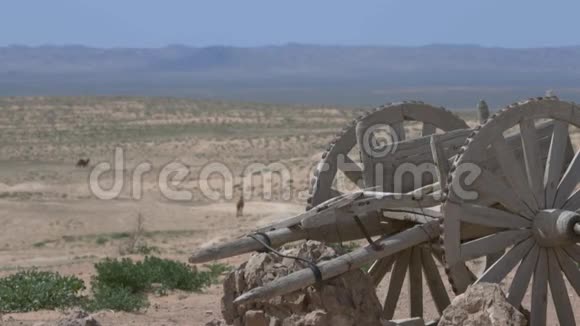 骆驼在沙漠的道路上行走一辆旧的真正的战车一辆手推车空气中的热量振动视频的预览图