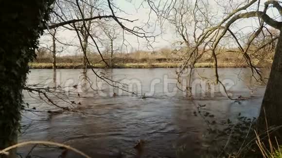 英国约克郡河水泛滥视频的预览图